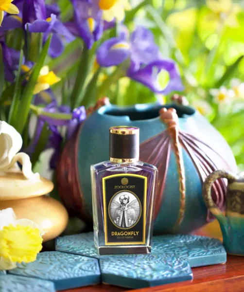 ZOOLOGIST - DRAGONFLY edp