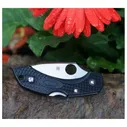 Складной нож Dragonfly 2 - Spyderco 28PBK2, сталь VG-10 Satin Plain, рукоять термопластик FRN чёрный